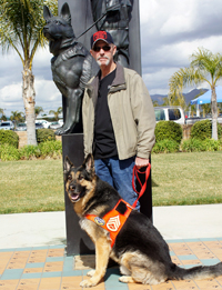 Condor, a retired military war dog