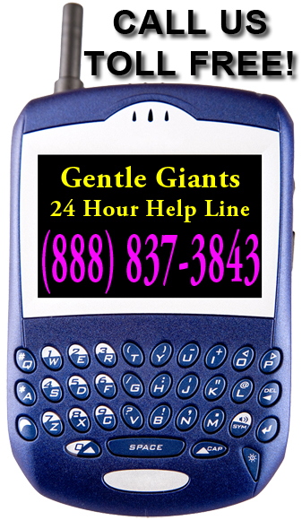 cell phone with our telephone number