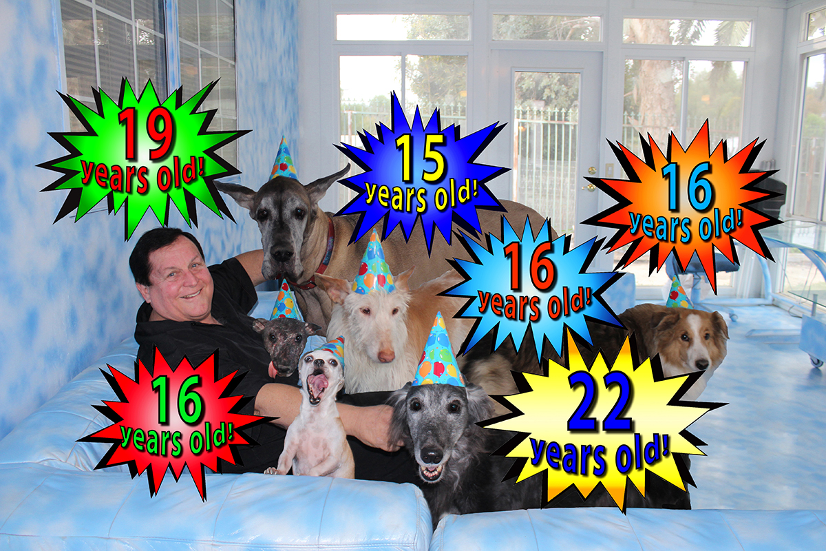 burt ward rescue