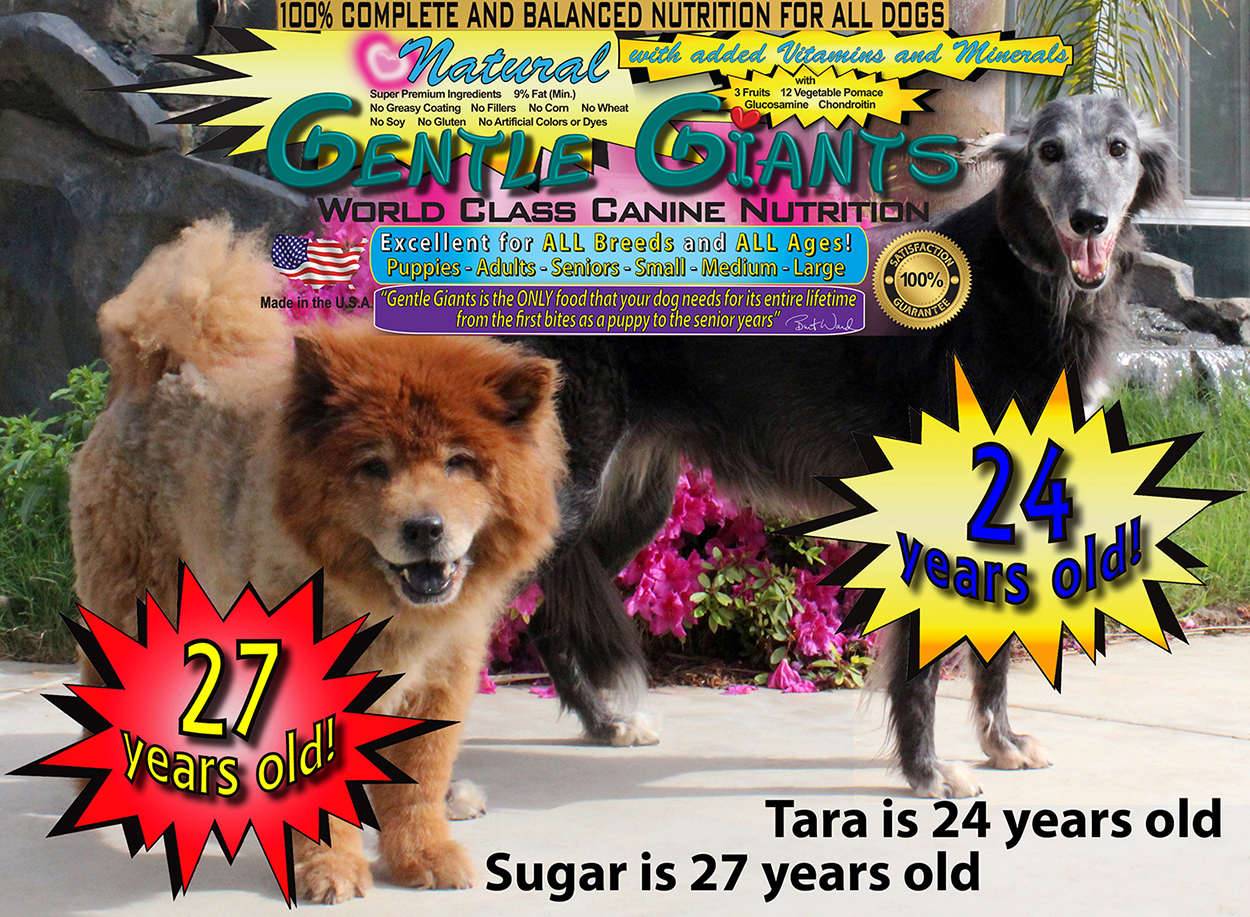 burt ward dog rescue