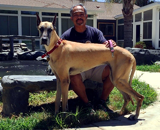 burt ward dog rescue