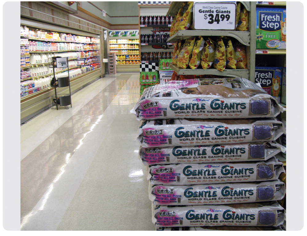 best food for boerboel puppies